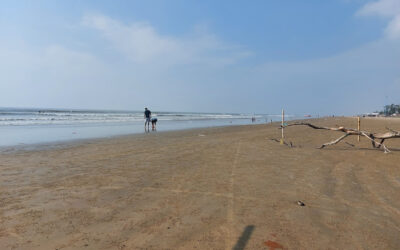 Best Sea Facing Resort in Mandarmani for Family and Couples